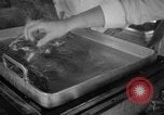 Image of NATO Air Forces Exercise Cirrus Wiesbaden Germany, 1951, second 20 stock footage video 65675048590