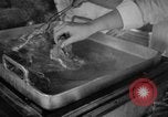 Image of NATO Air Forces Exercise Cirrus Wiesbaden Germany, 1951, second 22 stock footage video 65675048590