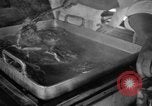 Image of NATO Air Forces Exercise Cirrus Wiesbaden Germany, 1951, second 23 stock footage video 65675048590