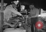 Image of NATO Air Forces Exercise Cirrus Wiesbaden Germany, 1951, second 46 stock footage video 65675048590