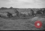 Image of Dutch infantrymen Holland Netherlands, 1951, second 4 stock footage video 65675048591