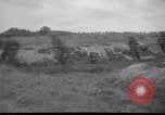 Image of Dutch infantrymen Holland Netherlands, 1951, second 5 stock footage video 65675048591
