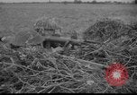 Image of Dutch infantrymen Holland Netherlands, 1951, second 33 stock footage video 65675048591