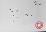 Standbild Alliierter Fallschirmjäger europäische Theater, 1944, aus Sekunde 15 historischem Filmmaterial Videoclip 65675048610