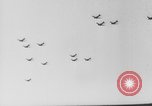 Standbild Alliierter Fallschirmjäger europäische Theater, 1944, aus Sekunde 16 historischem Filmmaterial Videoclip 65675048610