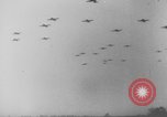 Standbild Alliierter Fallschirmjäger europäische Theater, 1944, aus Sekunde 27 historischem Filmmaterial Videoclip 65675048610