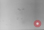 Standbild Alliierter Fallschirmjäger europäische Theater, 1944, aus Sekunde 39 historischem Filmmaterial Videoclip 65675048610