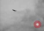Standbild USA P 51 Flugzeuge Frankreich, 1944, aus Sekunde 5 historischem Filmmaterial Videoclip 65675048612