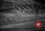 Standbild Der Einmarsch der Alliierten in der Normandie Normandie Frankreich, 1944, aus Sekunde 36 historischem Filmmaterial Videoclip 65675048613