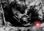 Standbild 82 US-Luftlandedivision Frankreich, 1944, aus Sekunde 7 historischem Filmmaterial Videoclip 65675048614