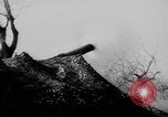 Standbild 82 US-Luftlandedivision Frankreich, 1944, aus Sekunde 8 historischem Filmmaterial Videoclip 65675048614