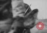 Standbild 82 US-Luftlandedivision Frankreich, 1944, aus Sekunde 18 historischem Filmmaterial Videoclip 65675048614