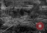 Standbild 82 US-Luftlandedivision Frankreich, 1944, aus Sekunde 60 historischem Filmmaterial Videoclip 65675048614