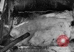 Standbild synthetischer Kautschuk United States USA, 1945, aus Sekunde 53 historischem Filmmaterial Videoclip 65675048646