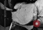 Standbild synthetischer Kautschuk United States USA, 1945, aus Sekunde 60 historischem Filmmaterial Videoclip 65675048646