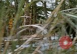 Immagine di Il tenente colonnello Cuong Il Vietnam, 1966, secondo 47 filmato di repertorio 65675048664