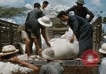 Image vietnamiens Vietnam, 1966, de la seconde 53 séquences d'archives historiques vidéo 65675048665