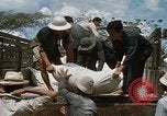 Image vietnamiens Vietnam, 1966, de la seconde 55 séquences d'archives historiques vidéo 65675048665