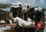 Image vietnamiens Vietnam, 1966, de la seconde 56 séquences d'archives historiques vidéo 65675048665
