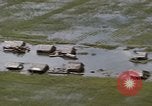 Image Vietnam Force aérienne C 47 aéronefs Vietnam, 1966, de la seconde 58 séquences d'archives historiques vidéo 65675048668