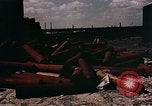Standbild Deutsche Anti Aircraft guns Berlin Deutschland, 1945, aus Sekunde 53 historischem Filmmaterial Videoclip 65675048674
