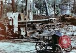 Image of Tiergarden Berlin Germany, 1945, second 4 stock footage video 65675048682