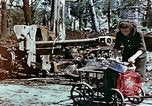 Image of Tiergarden Berlin Germany, 1945, second 8 stock footage video 65675048682