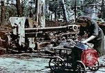 Image of Tiergarden Berlin Germany, 1945, second 9 stock footage video 65675048682