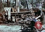 Image of Tiergarden Berlin Germany, 1945, second 10 stock footage video 65675048682