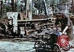 Image of Tiergarden Berlin Germany, 1945, second 11 stock footage video 65675048682