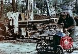 Image of Tiergarden Berlin Germany, 1945, second 12 stock footage video 65675048682