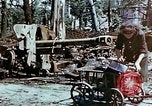 Image of Tiergarden Berlin Germany, 1945, second 13 stock footage video 65675048682