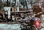 Image of Tiergarden Berlin Germany, 1945, second 15 stock footage video 65675048682