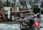 Image of Tiergarden Berlin Germany, 1945, second 16 stock footage video 65675048682