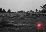 Immagine di Trattore Ford United States USA, 1918, secondo 28 filmato di repertorio 65675048691