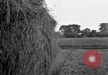Standbild Ford Traktor gezogen Ladewagen United States USA, 1918, aus Sekunde 20 historischem Filmmaterial Videoclip 65675048695