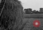 Standbild Ford Traktor gezogen Ladewagen United States USA, 1918, aus Sekunde 23 historischem Filmmaterial Videoclip 65675048695