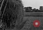 Standbild Ford Traktor gezogen Ladewagen United States USA, 1918, aus Sekunde 24 historischem Filmmaterial Videoclip 65675048695