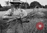 Standbild Ford Traktor United States USA, 1919, aus Sekunde 6 historischem Filmmaterial Videoclip 65675048696