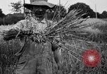 Standbild Ford Traktor United States USA, 1919, aus Sekunde 7 historischem Filmmaterial Videoclip 65675048696