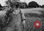 Standbild Ford Traktor United States USA, 1919, aus Sekunde 8 historischem Filmmaterial Videoclip 65675048696