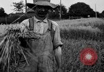 Standbild Ford Traktor United States USA, 1919, aus Sekunde 9 historischem Filmmaterial Videoclip 65675048696