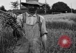 Standbild Ford Traktor United States USA, 1919, aus Sekunde 10 historischem Filmmaterial Videoclip 65675048696