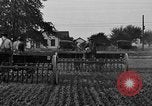 Standbild Ford Traktor gezogener Pflug United States USA, 1919, aus Sekunde 43 historischem Filmmaterial Videoclip 65675048697