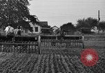 Standbild Ford Traktor gezogener Pflug United States USA, 1919, aus Sekunde 45 historischem Filmmaterial Videoclip 65675048697