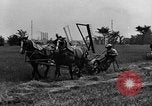 Standbild Pferdekutschen Reaper United States USA, 1919, aus Sekunde 8 historischem Filmmaterial Videoclip 65675048699