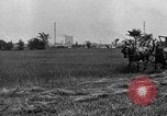 Standbild Pferdekutschen Reaper United States USA, 1919, aus Sekunde 14 historischem Filmmaterial Videoclip 65675048699