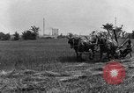Standbild Pferdekutschen Reaper United States USA, 1919, aus Sekunde 16 historischem Filmmaterial Videoclip 65675048699