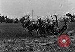Standbild Pferdekutschen Reaper United States USA, 1919, aus Sekunde 18 historischem Filmmaterial Videoclip 65675048699