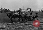 Standbild Pferdekutschen Reaper United States USA, 1919, aus Sekunde 19 historischem Filmmaterial Videoclip 65675048699